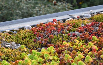 the cost of Sileby green roof installation