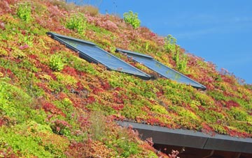 Sileby living roof systems